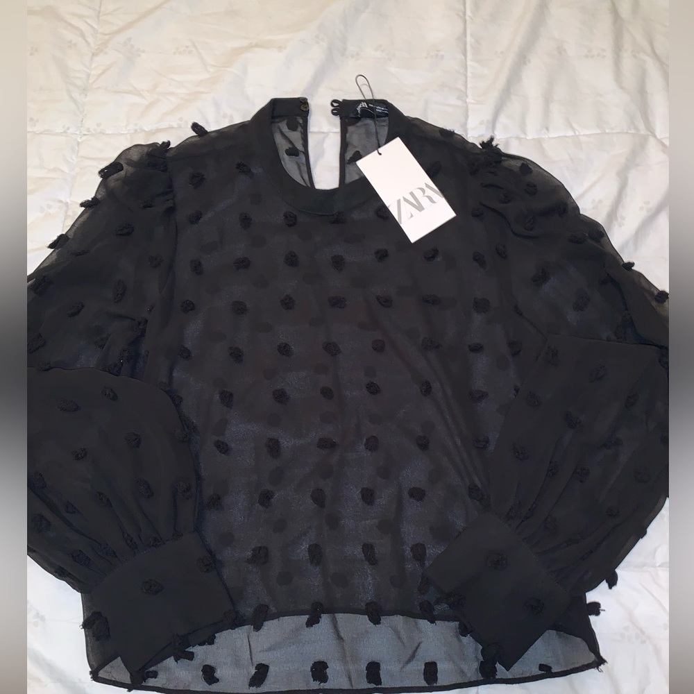 Brand new with tag Black sheer long sleeve Zara top. Size medium.